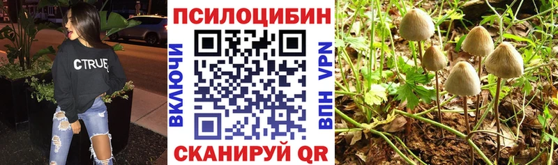 Галлюциногенные грибы ЛСД  дарнет шоп  Обнинск 